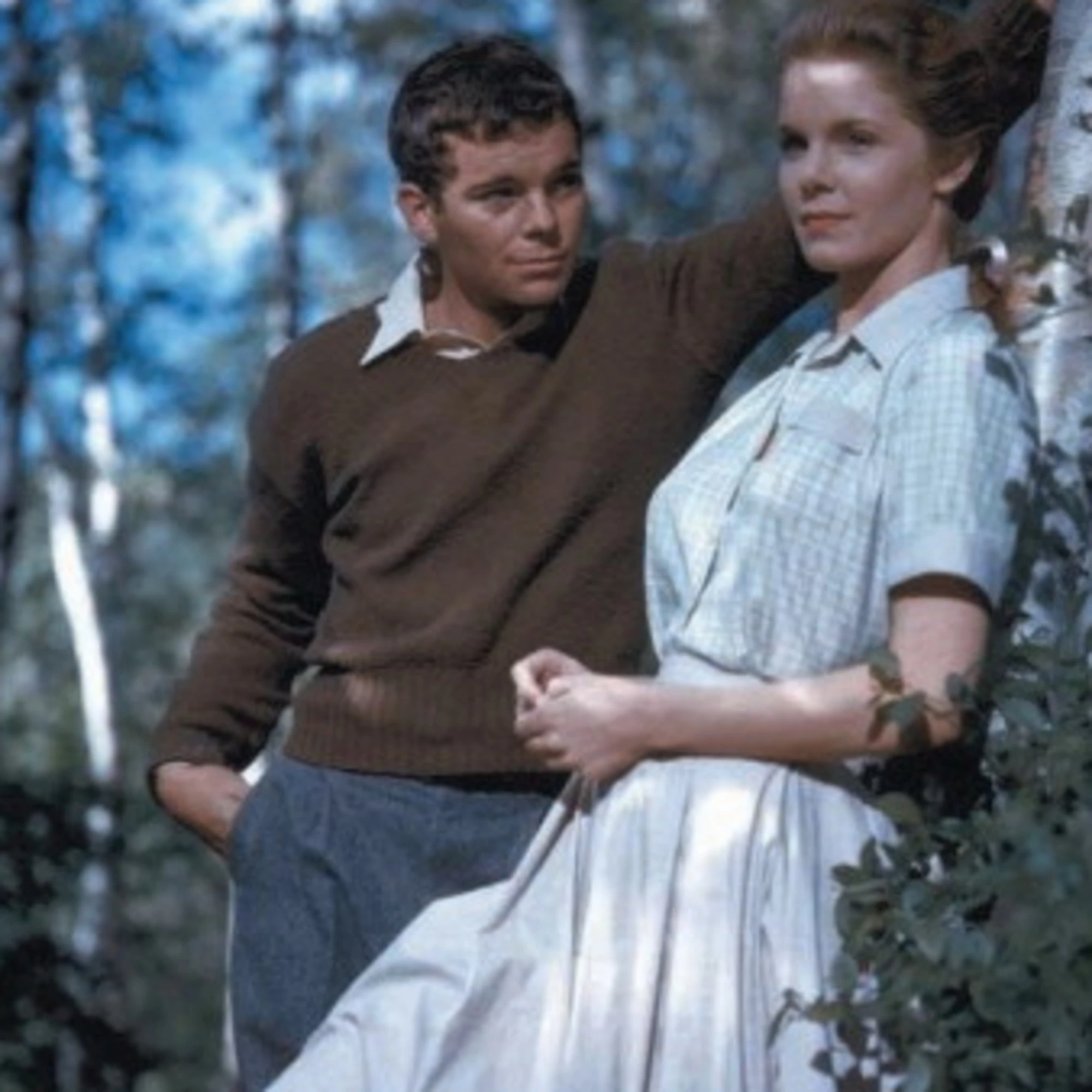 Lo scandaloso romanzo che ha svelato il lato oscuro della provincia americana