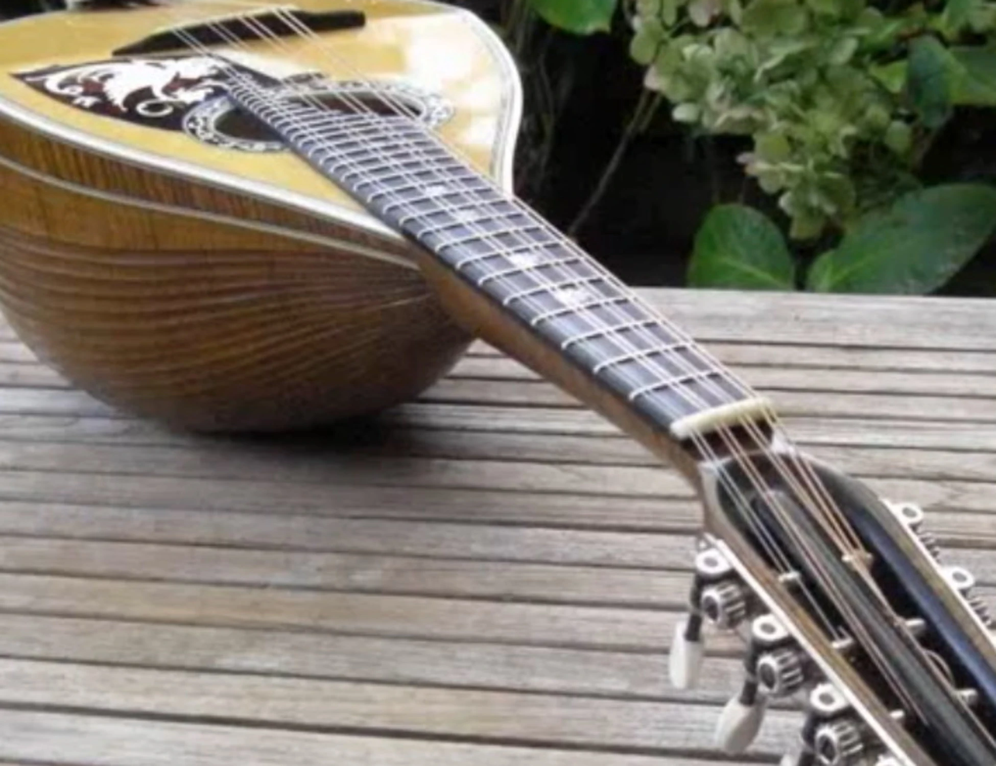 L'arpinate Embergher, il genio incompreso della mandoliola