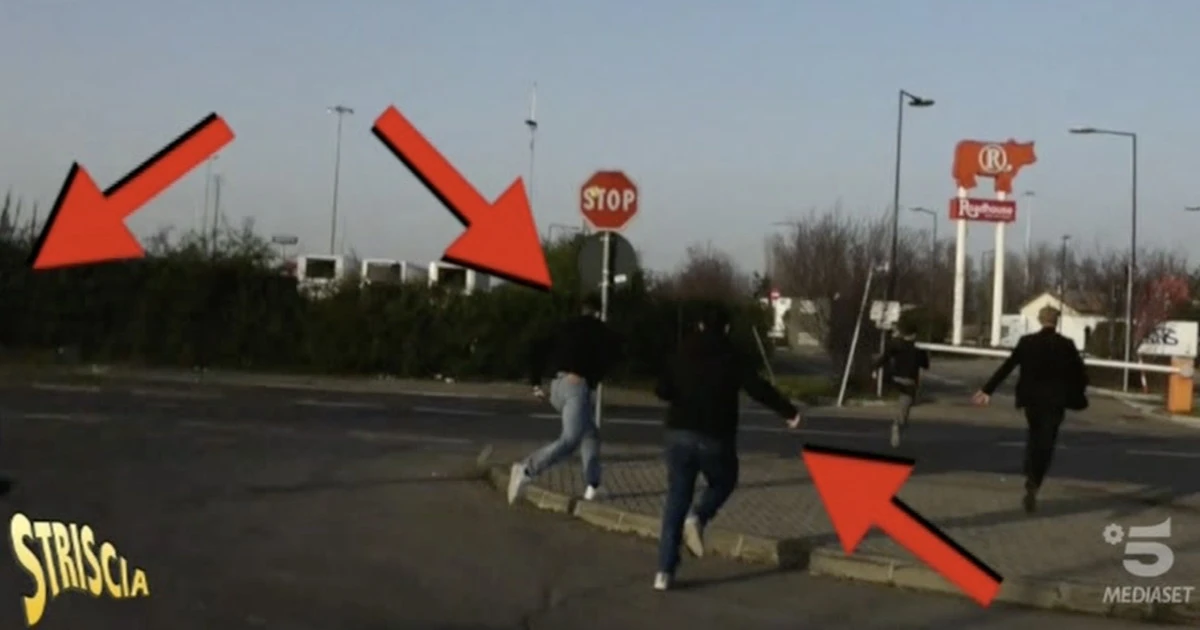 Striscia la Notizia, trappolone al truffatore: il tentativo di fuga finisce in disgrazia, tragico epilogo per il bandito delle tv