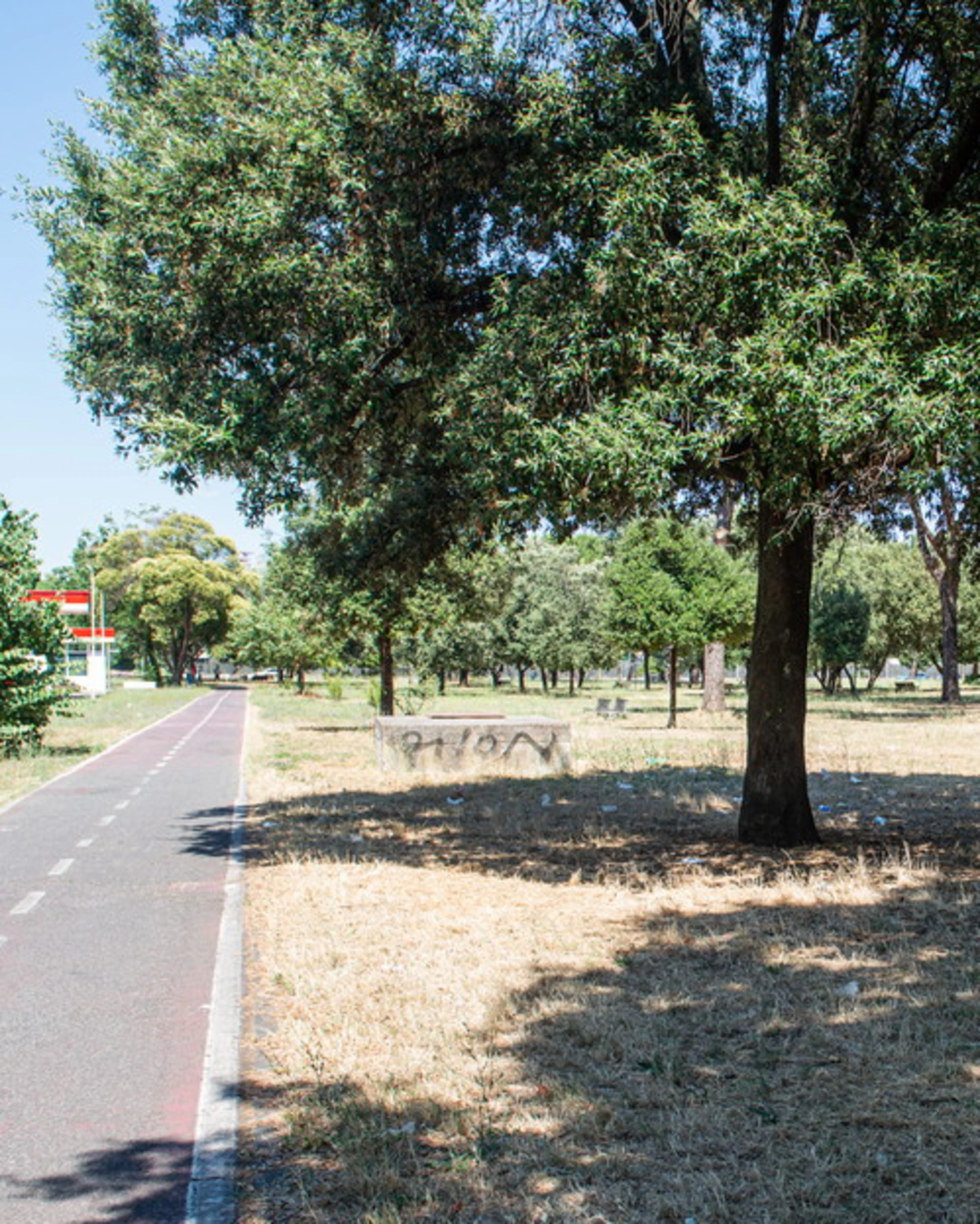 Roma, 60enne derubata e violentata al parco mentre passeggiava con il cane