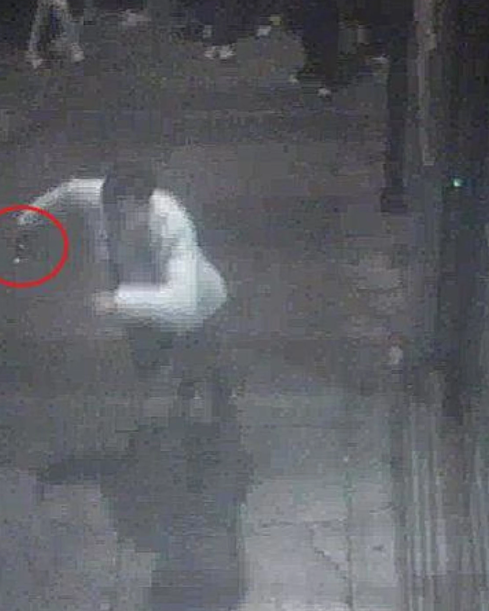 Monreale, il testimone: "In piedi sulla moto mentre scarrellava la pistola"
