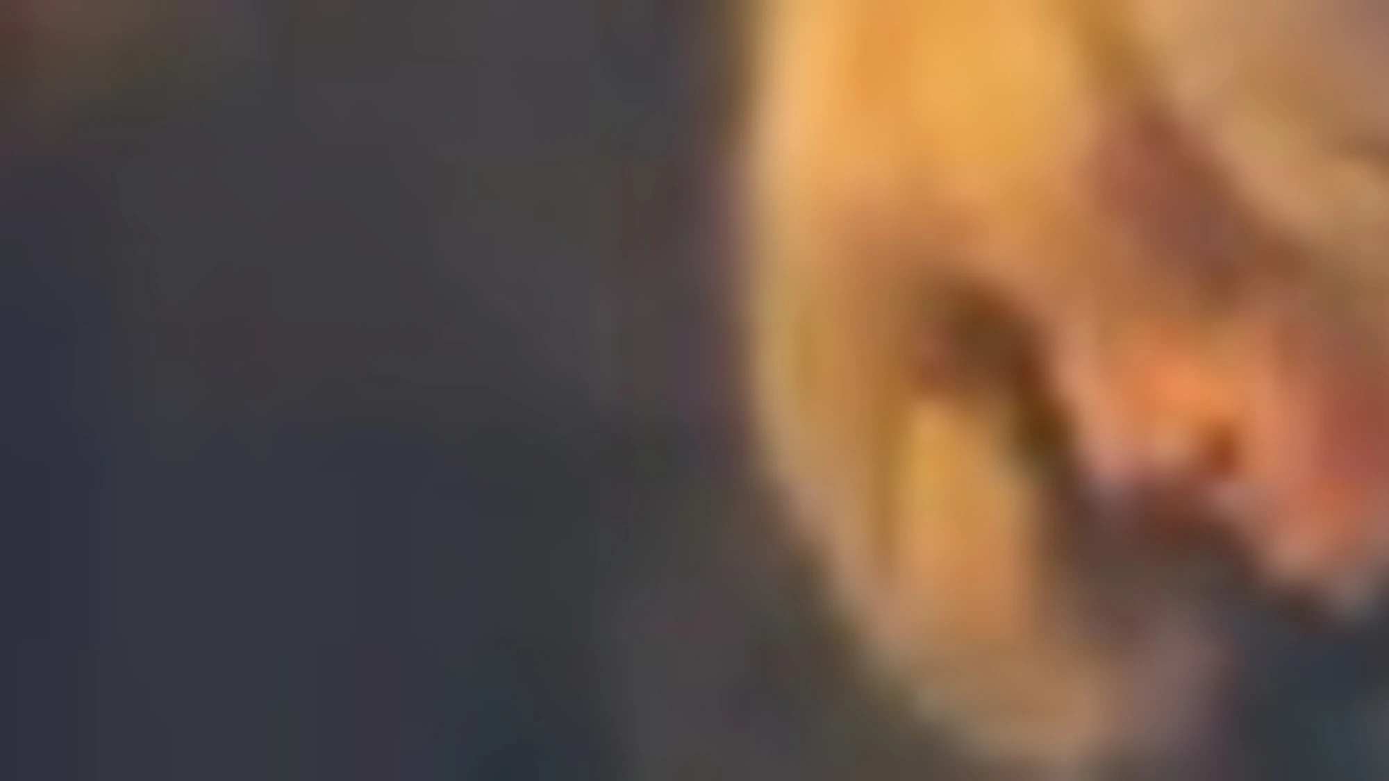 Macron all'Eliseo e Brigitte... Clamoroso, ecco come viene beccata