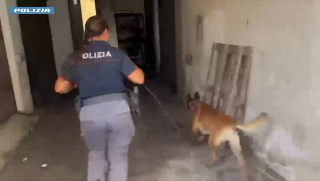 https://media.liberoquotidiano.it/PjN_gUnlJszGC49JNPWclLfrAPjmCGkJnLh936UZbzQ/width:800/quality:90/aW1hZ2VzLzIwMjYvMDkvMDQvMDg0NTM0Njg1LTc0ZDg5MTY4LTQyODktNDBlNS05OGFkLWVjYzhhMmIzNzUzMi5qcGc.webp