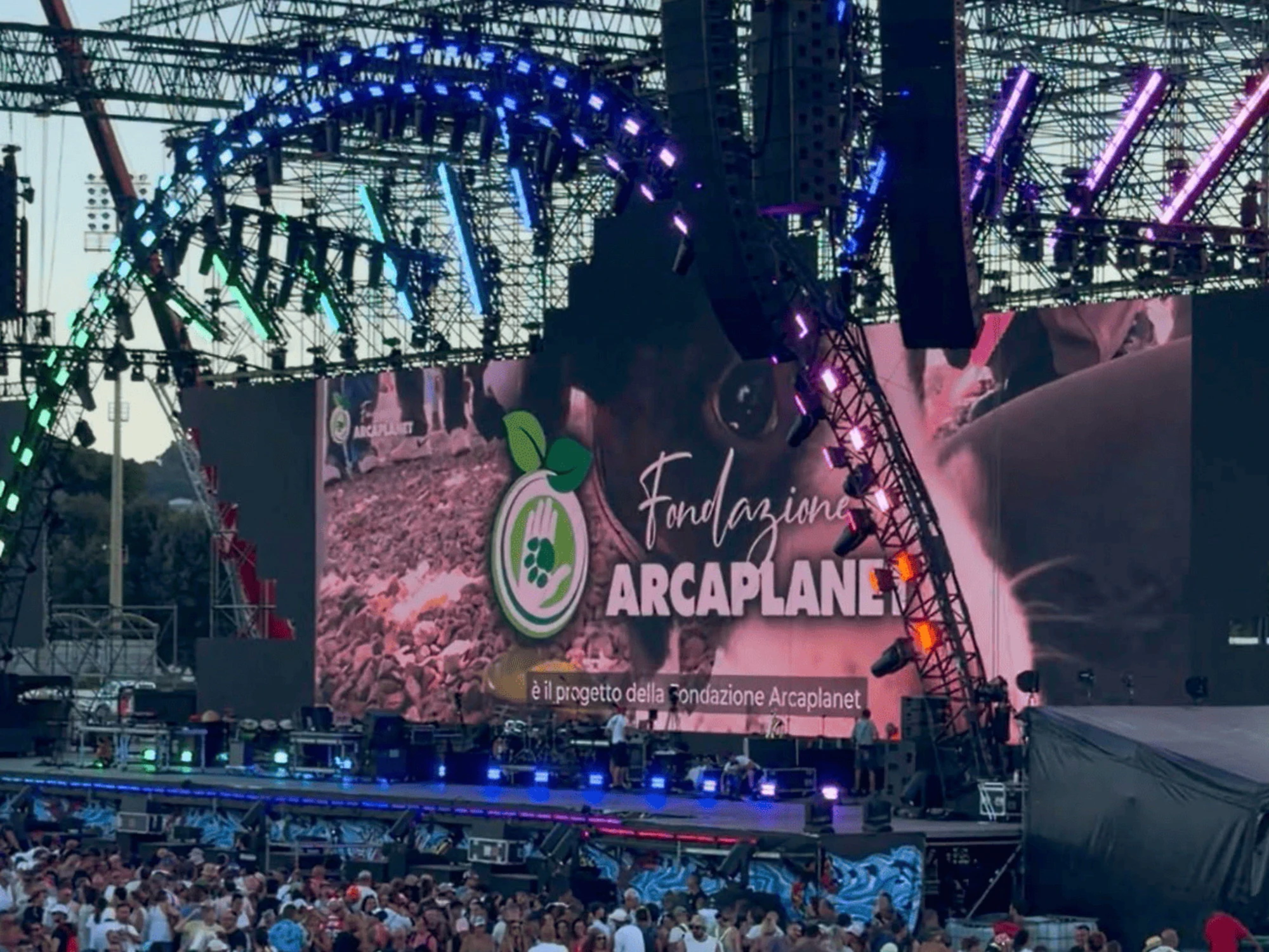 La lotta all'abbandono degli animali di Arcaplanet