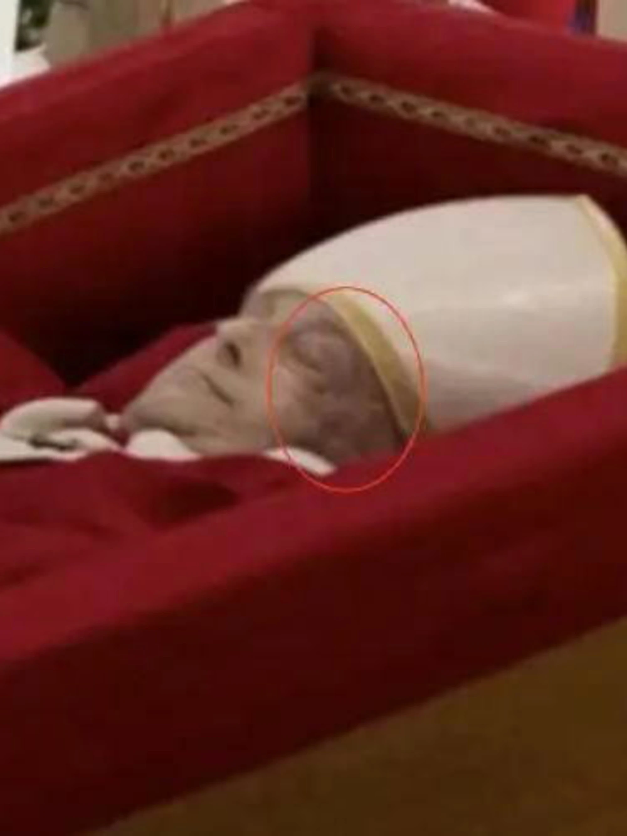 La verità sulla macchia sul volto del Papa morto