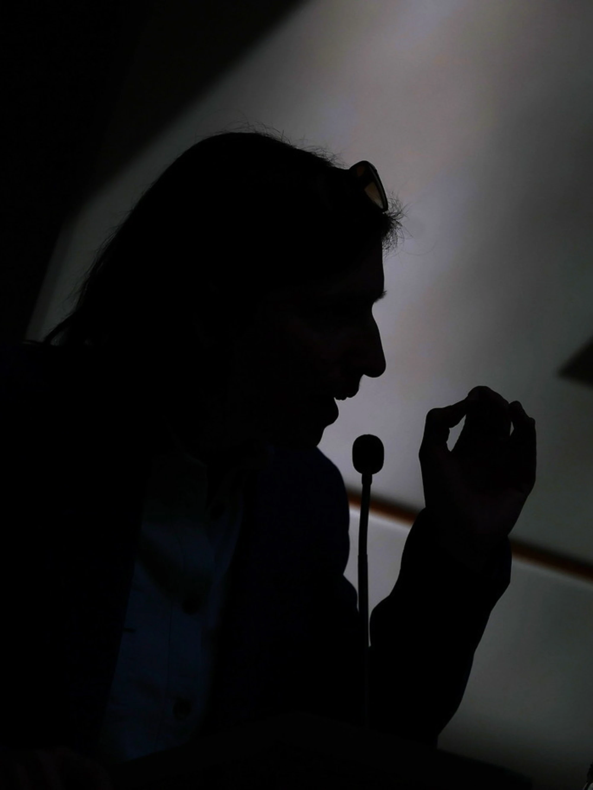 Opposizione a pezzi sulla politica estera: cinque risoluzioni
