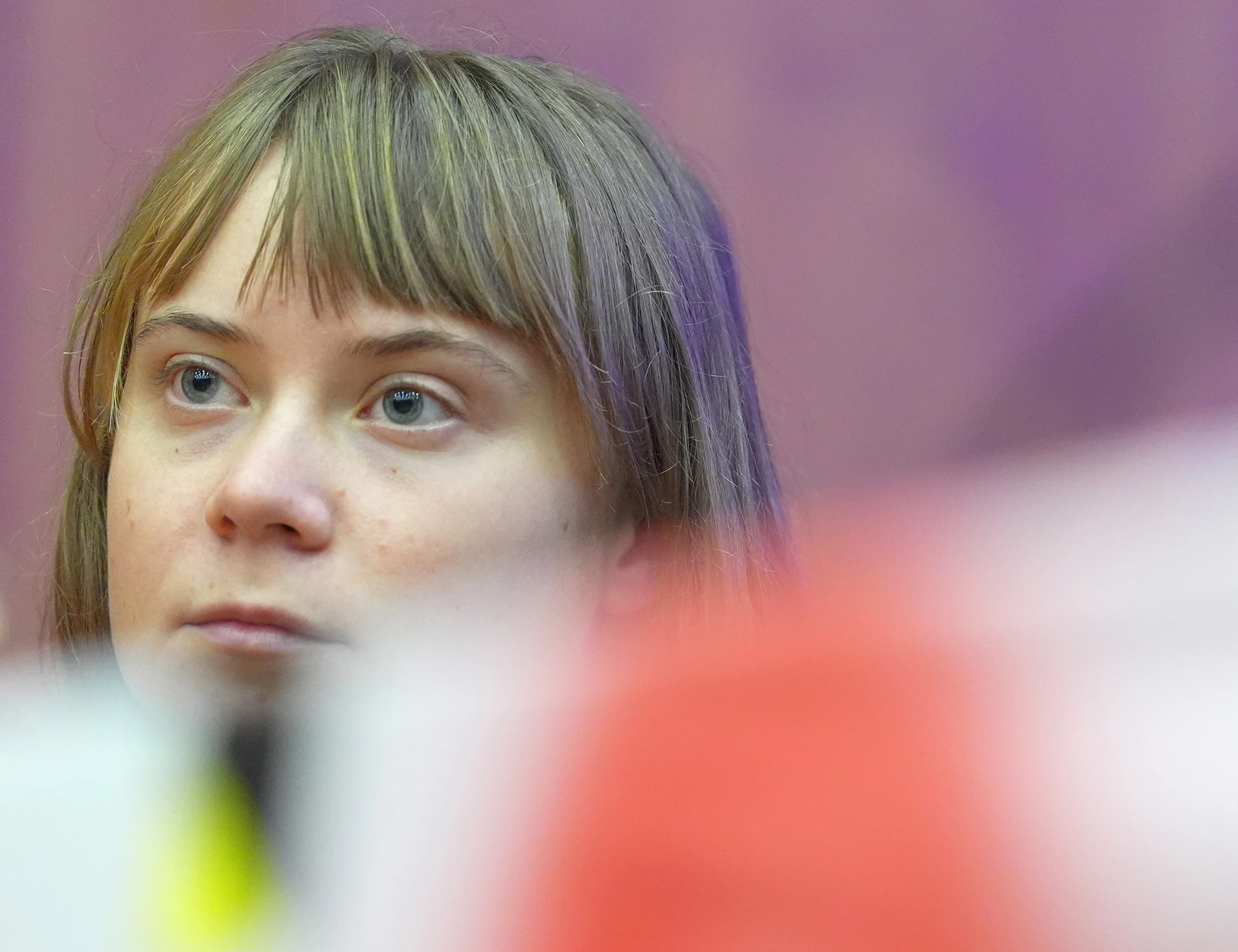 Greta Thunberg indagata: la grande paura, cosa rischia