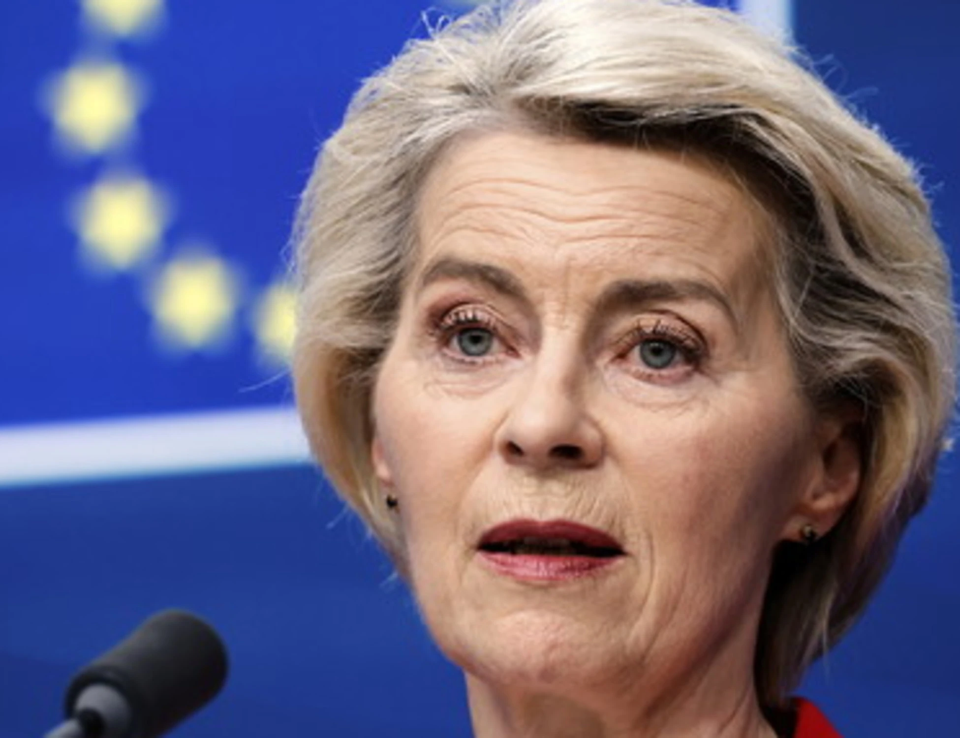 Lega contro Von der Leyen: "Il piano per il clima una follia, ci vuole distruggere"