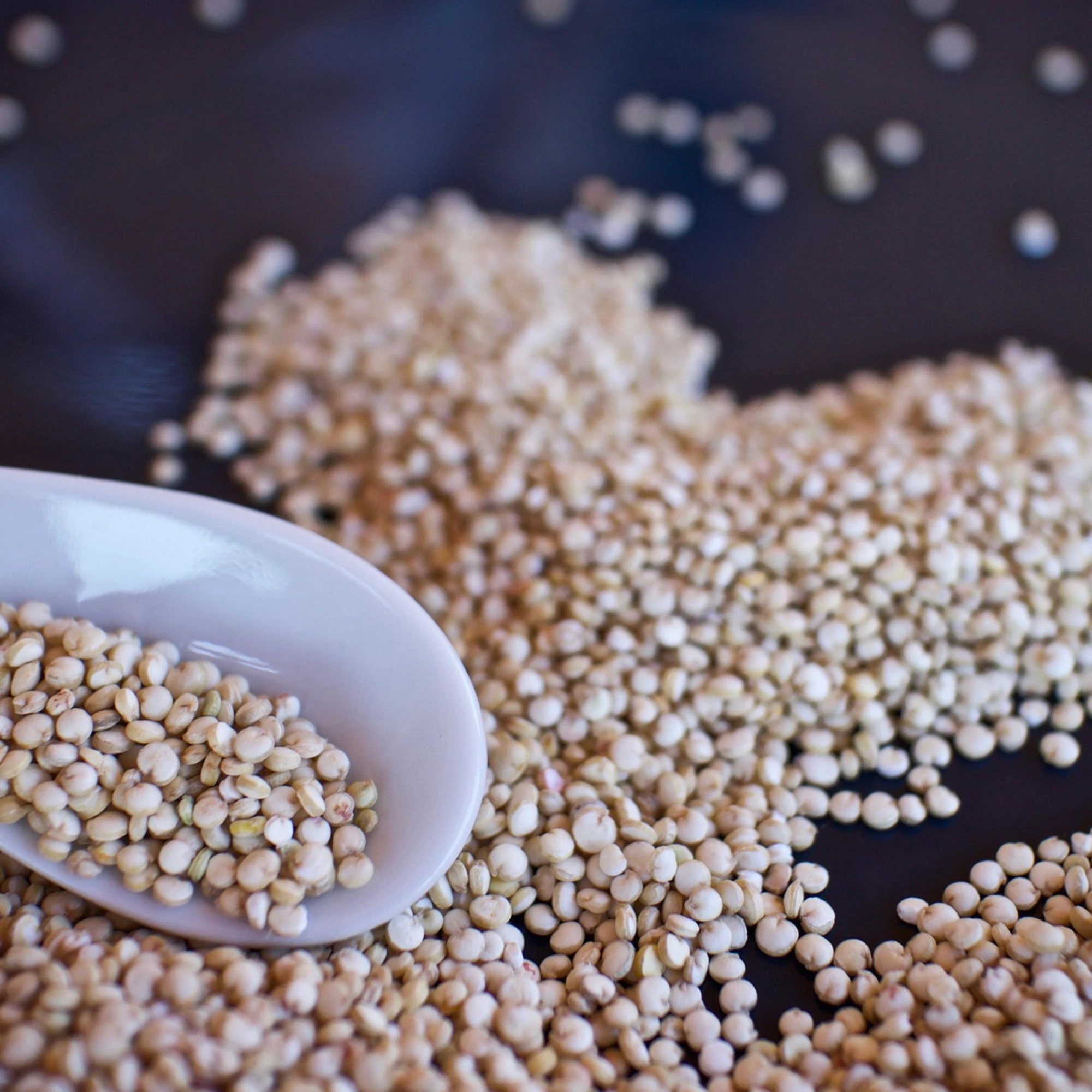 L'enigma quinoa, lo pseudocereale che non sa di nulla