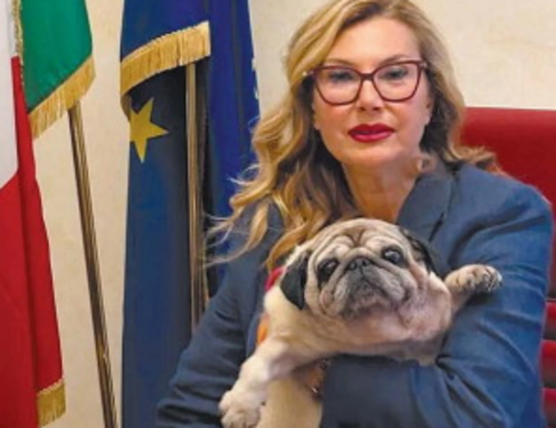 Cane in ufficio? Meno stress e il proprietario lavora meglio