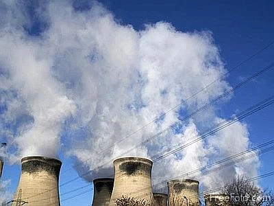 Parchi nazionali e foreste amici del clima, 'stoccano' l'anidride carbonica