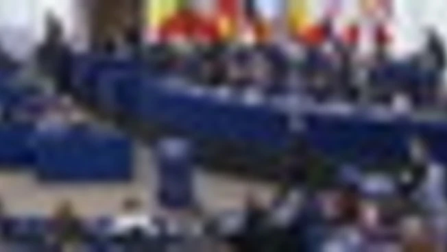 L'Europarlamento chiede parere alla Corte Ue su accordo col Mercorsur