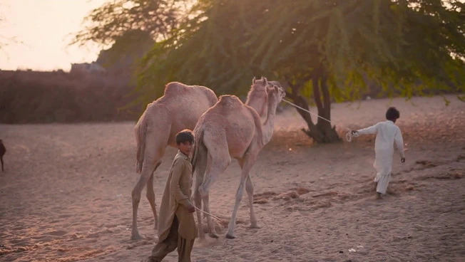 Children in Crisis sostiene l’istruzione per i bambini in difficoltà