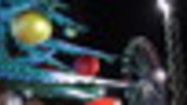 Senza albero non è Natale: presenza fissa nel 92% delle case italiane