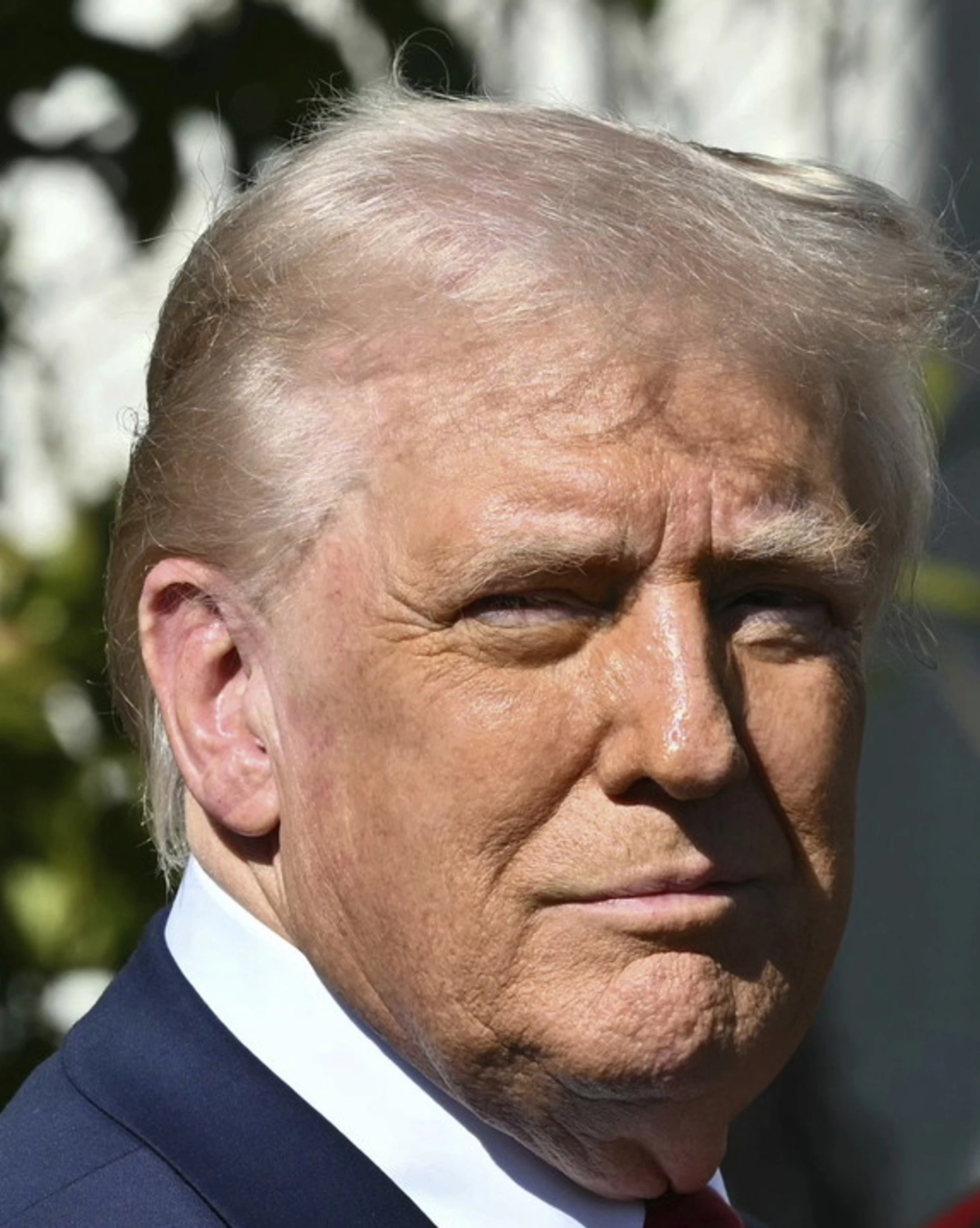 Donald Trump, da Musk a Milei: qualche dritta liberista per aiutarlo