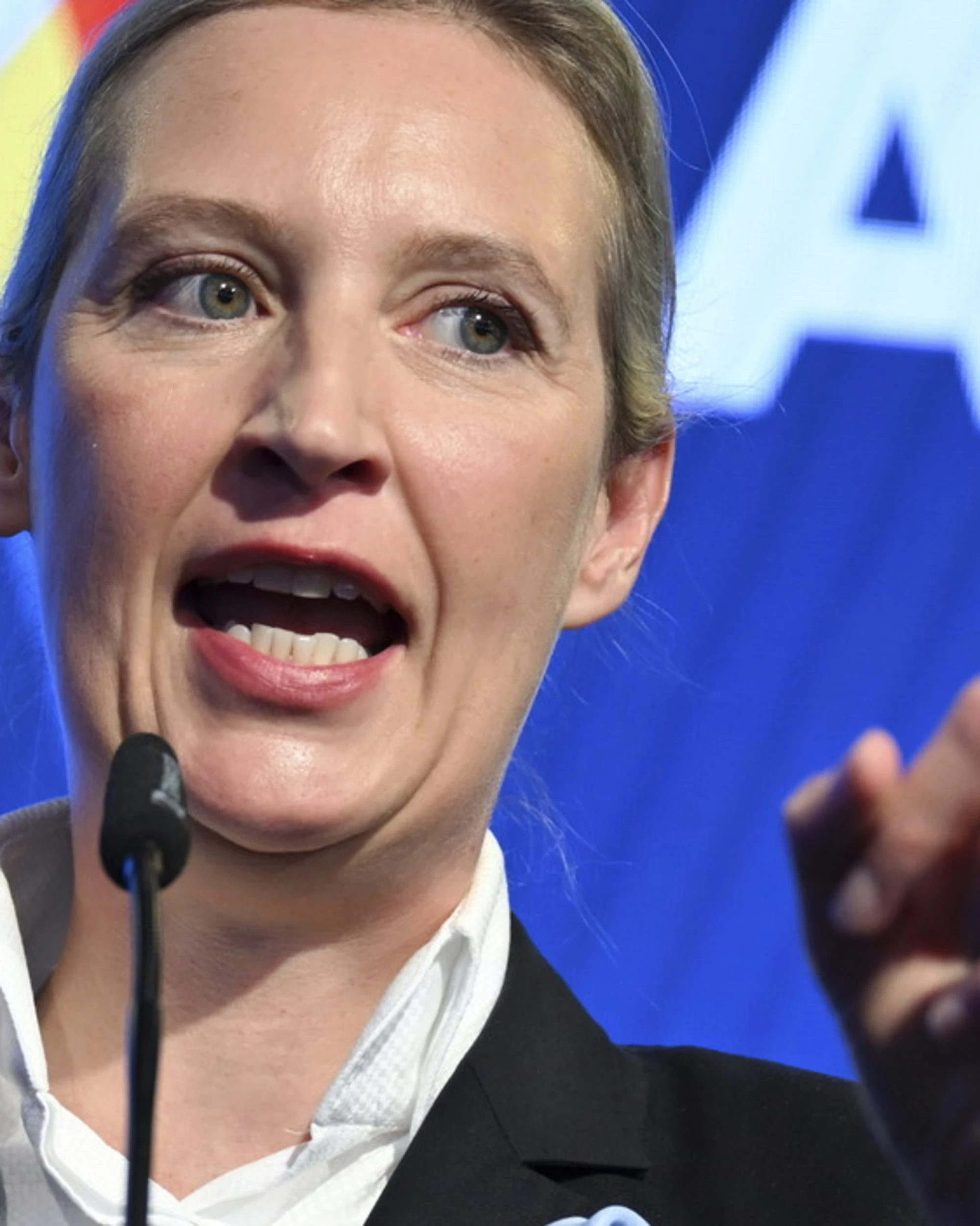 Germania, morti sei candidati di Afd a pochi giorni dal voto