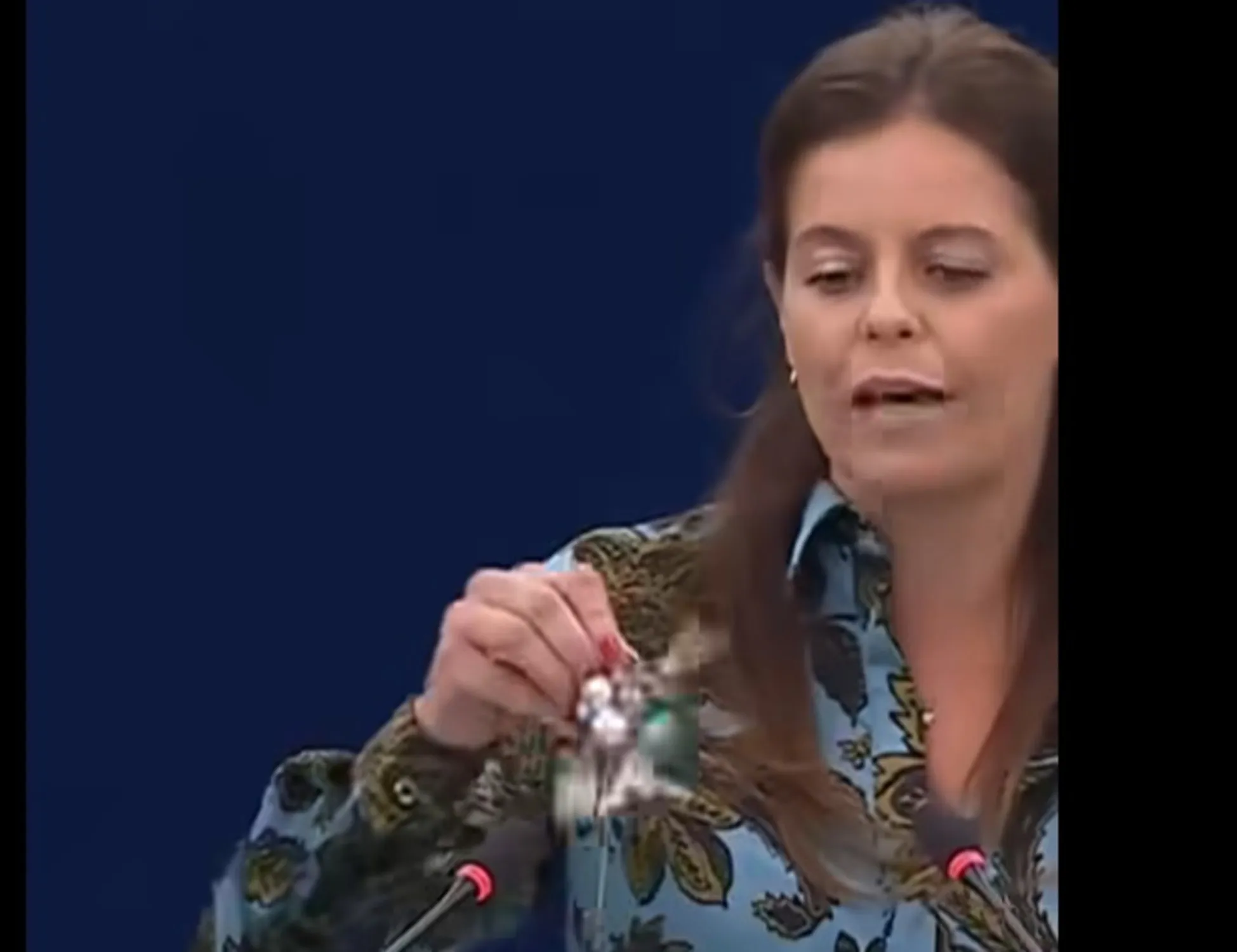 Leggi l'articolo: Ilaria Salis e le chiavi, un delirio rosso: "Basta!", derisa da tutti