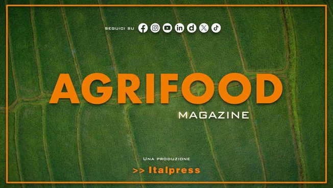 Agrifood Magazine - 11/2/2026