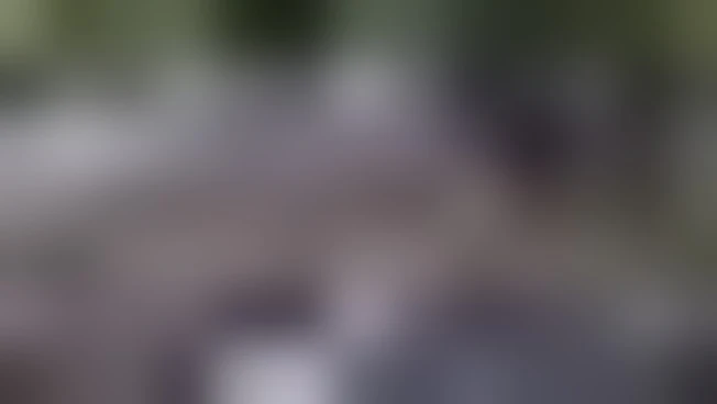 https://media.liberoquotidiano.it/QYFBJgb3FOUHIXa1vzjItKlgMxAuloiclcAxnBjtdGs/width:800/quality:90/aW1hZ2VzLzIwMjYvMDYvMTgvMDkwOTM1NzUzLWI3ZThhODZlLWFhMWUtNDIzZi04YzBhLTdhMTIwNWJjODcxYS5qcGc.webp