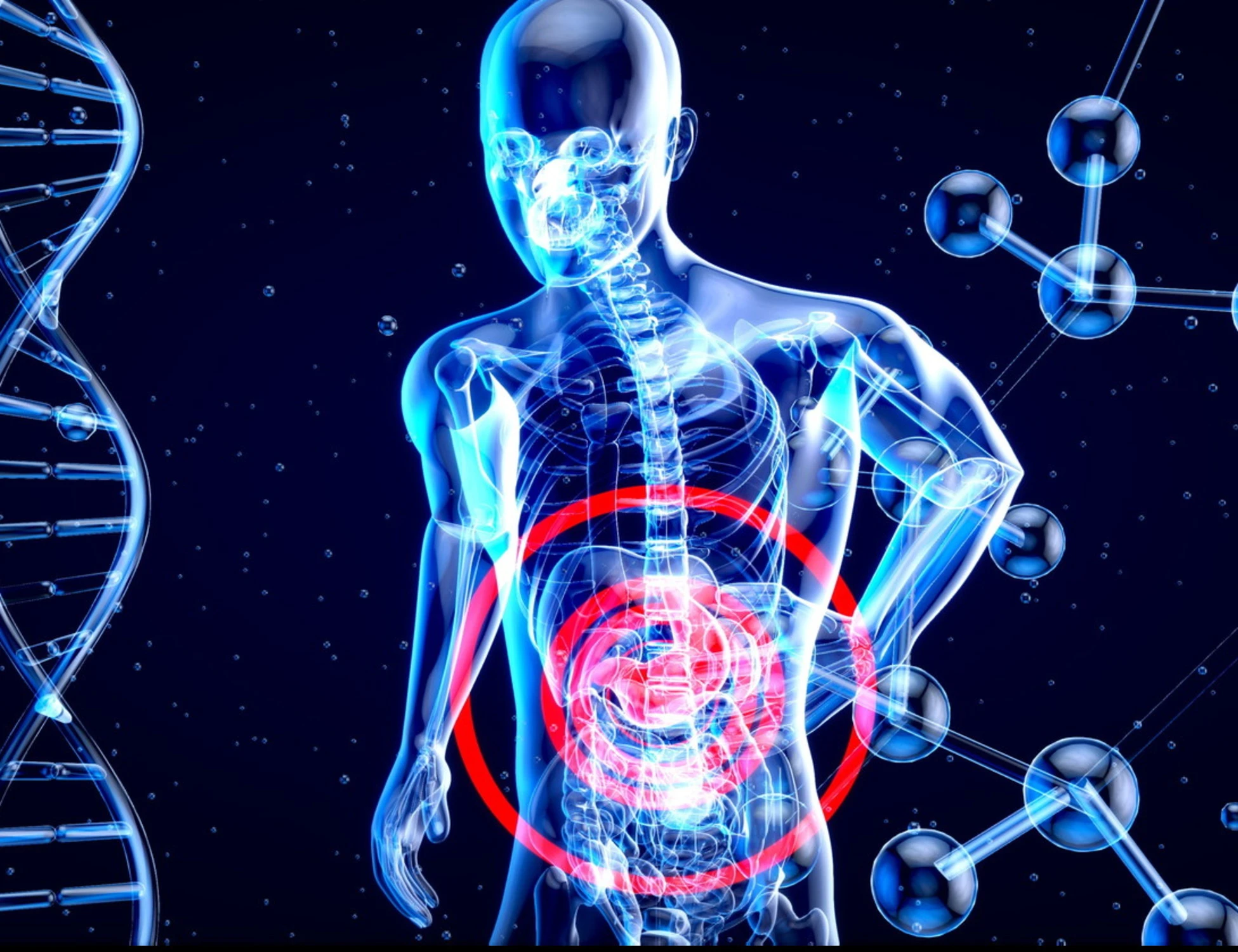 Il ruolo dell'intestino nel proteggere il cervello: il viaggio delle cellule immunitarie