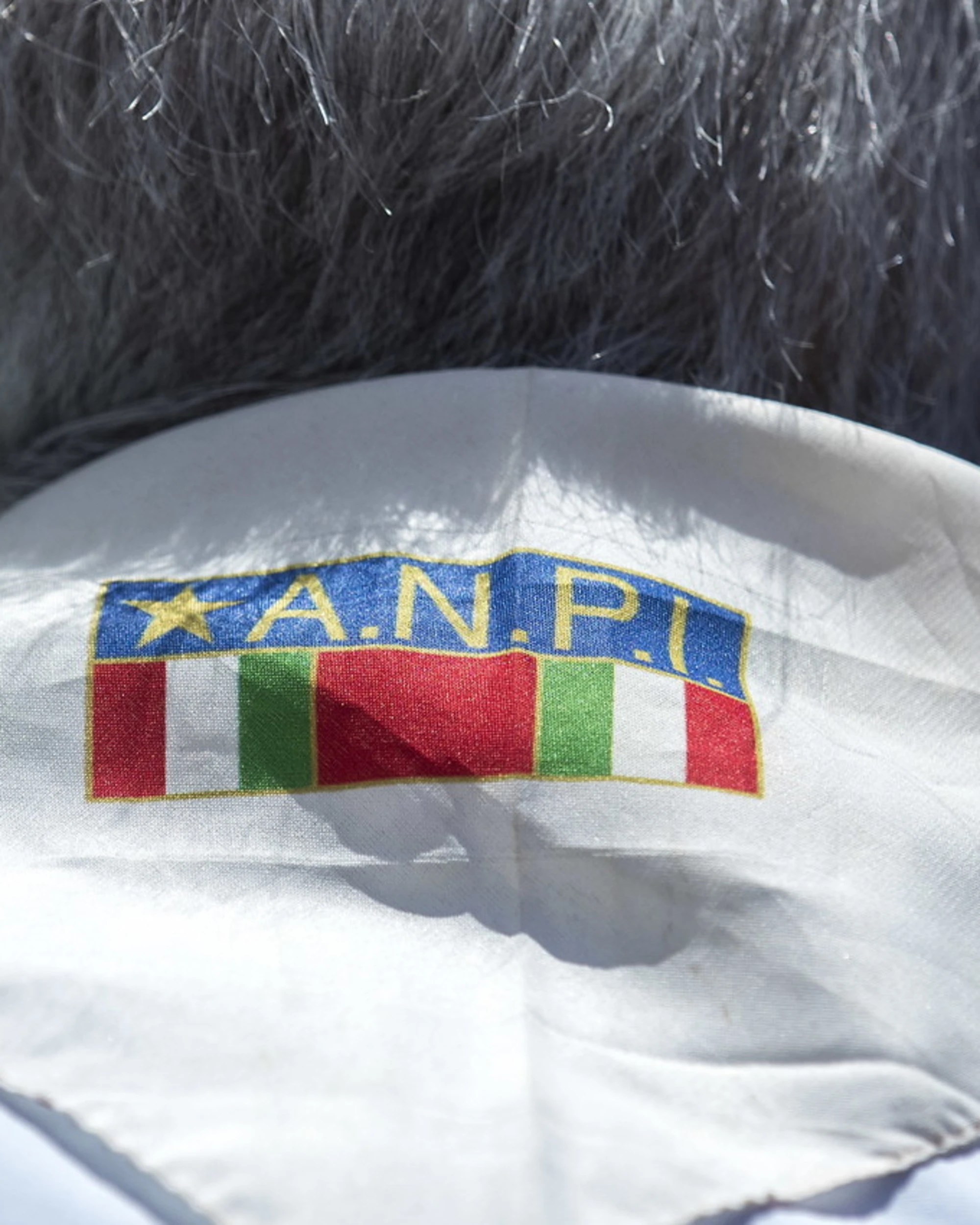 Anpi