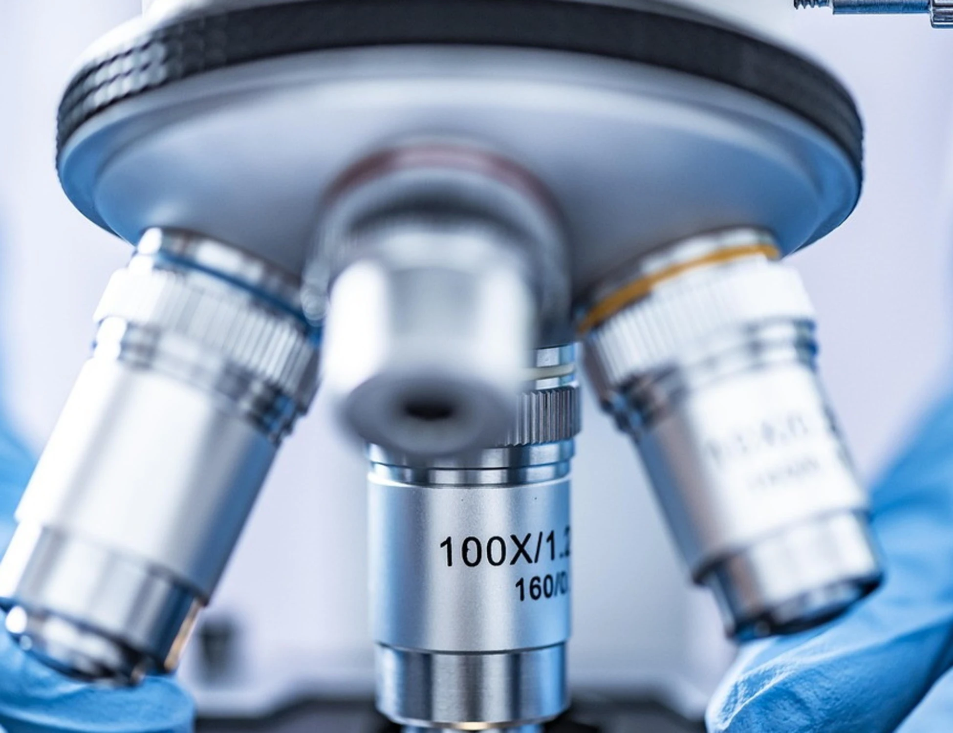 La trappola del DNA: può una prova genetica decidere un destino?