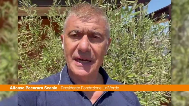 Pecoraro Scanio "Emergenza climatica è realtà, serve un piano del Governo"