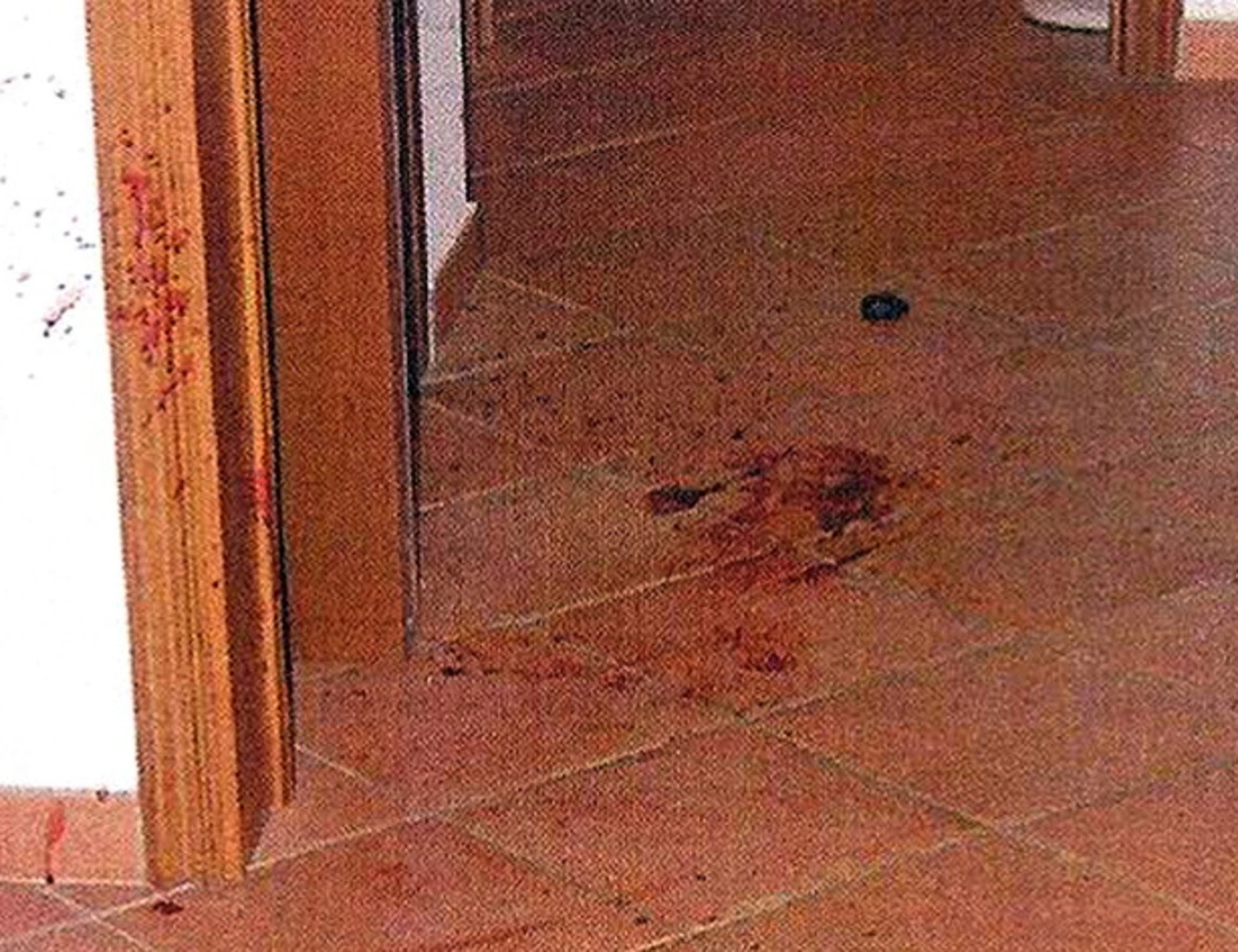 Garlasco, "una donna con una borsa": chi spunta sulla scena del delitto