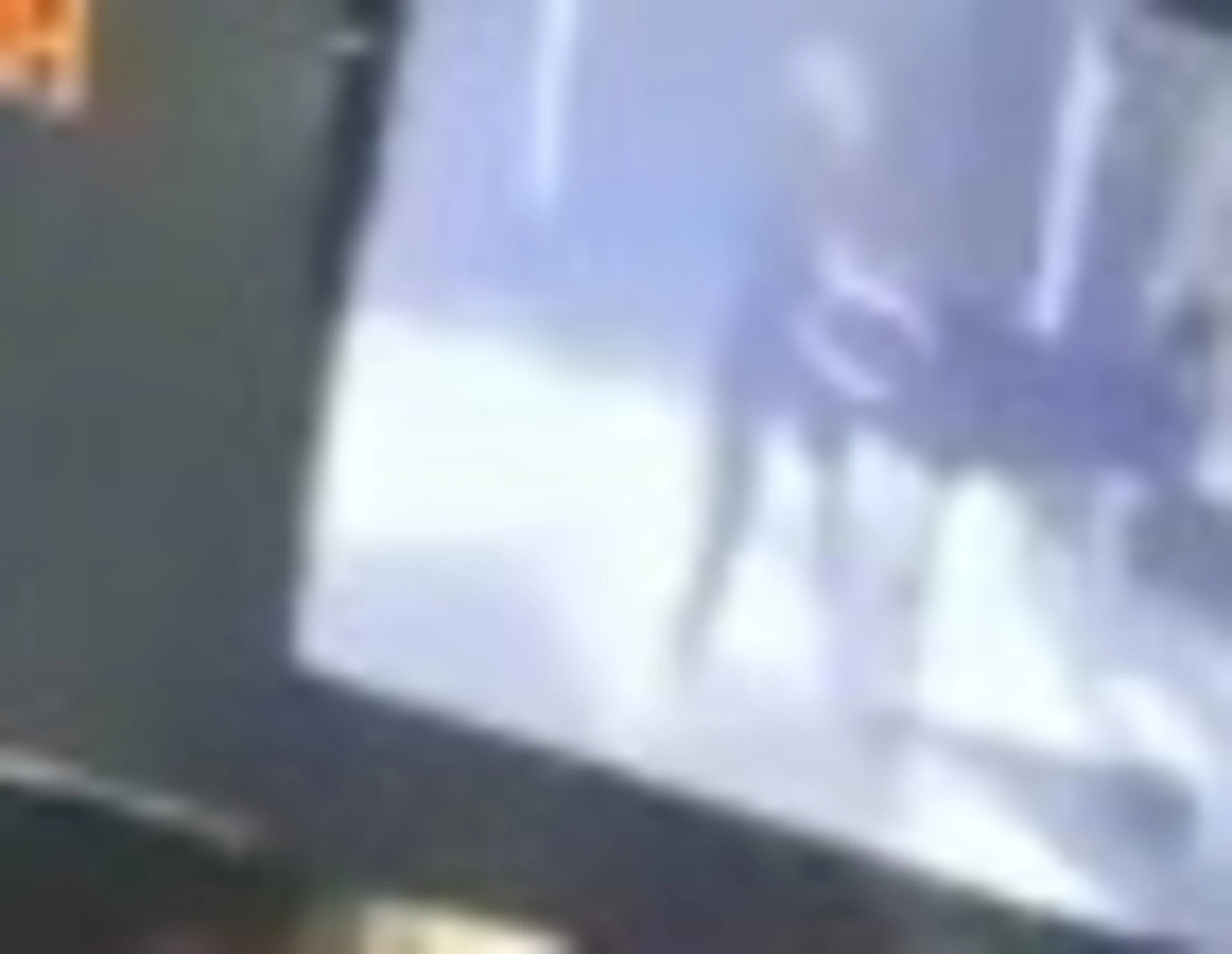 Sanremo 2026, cosa appare sul gobbo: Eros Ramazzotti che dice?