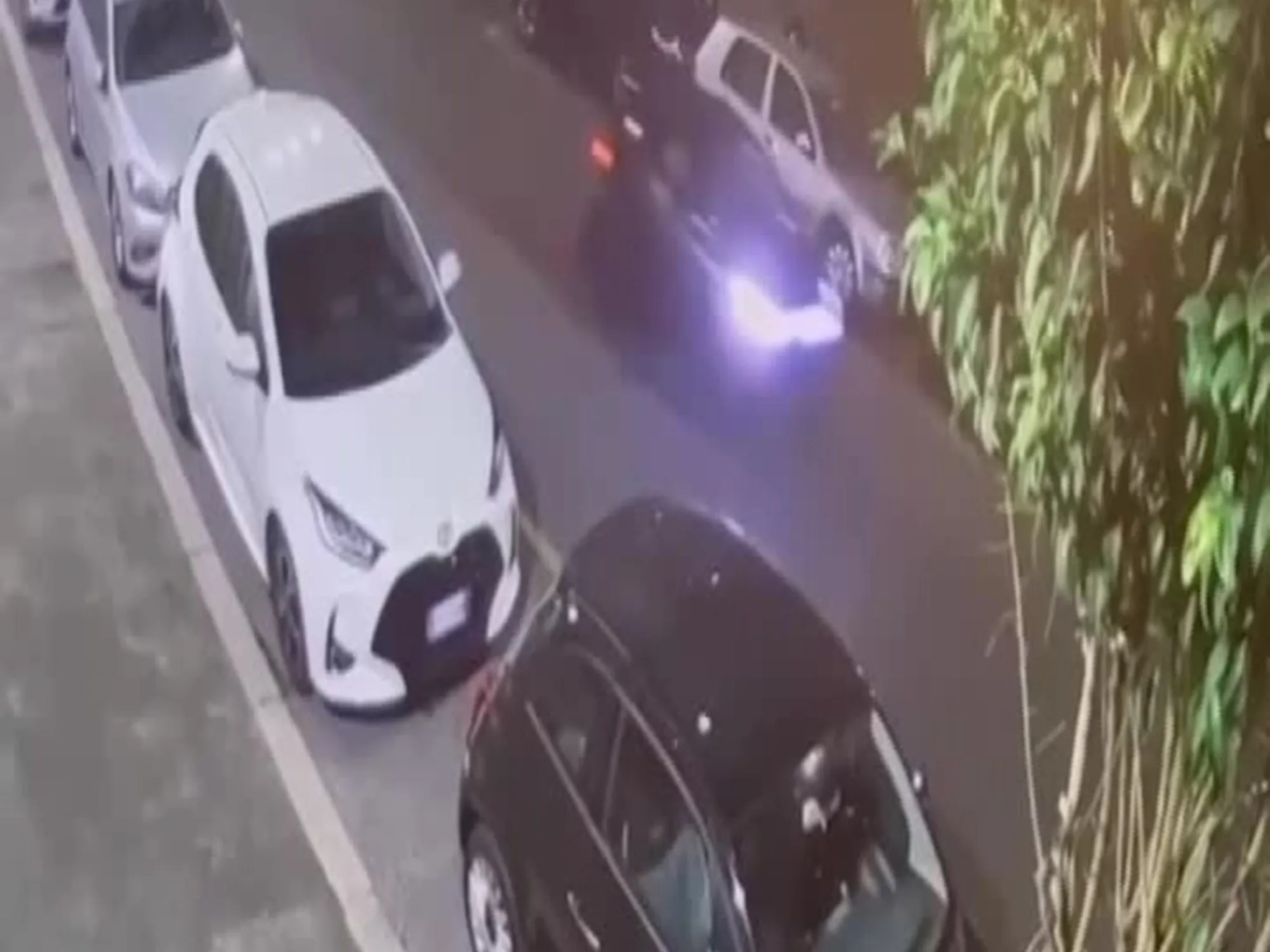 Leggi l'articolo: Banda della minicar, il video dopo l'aggressione a Iacopini