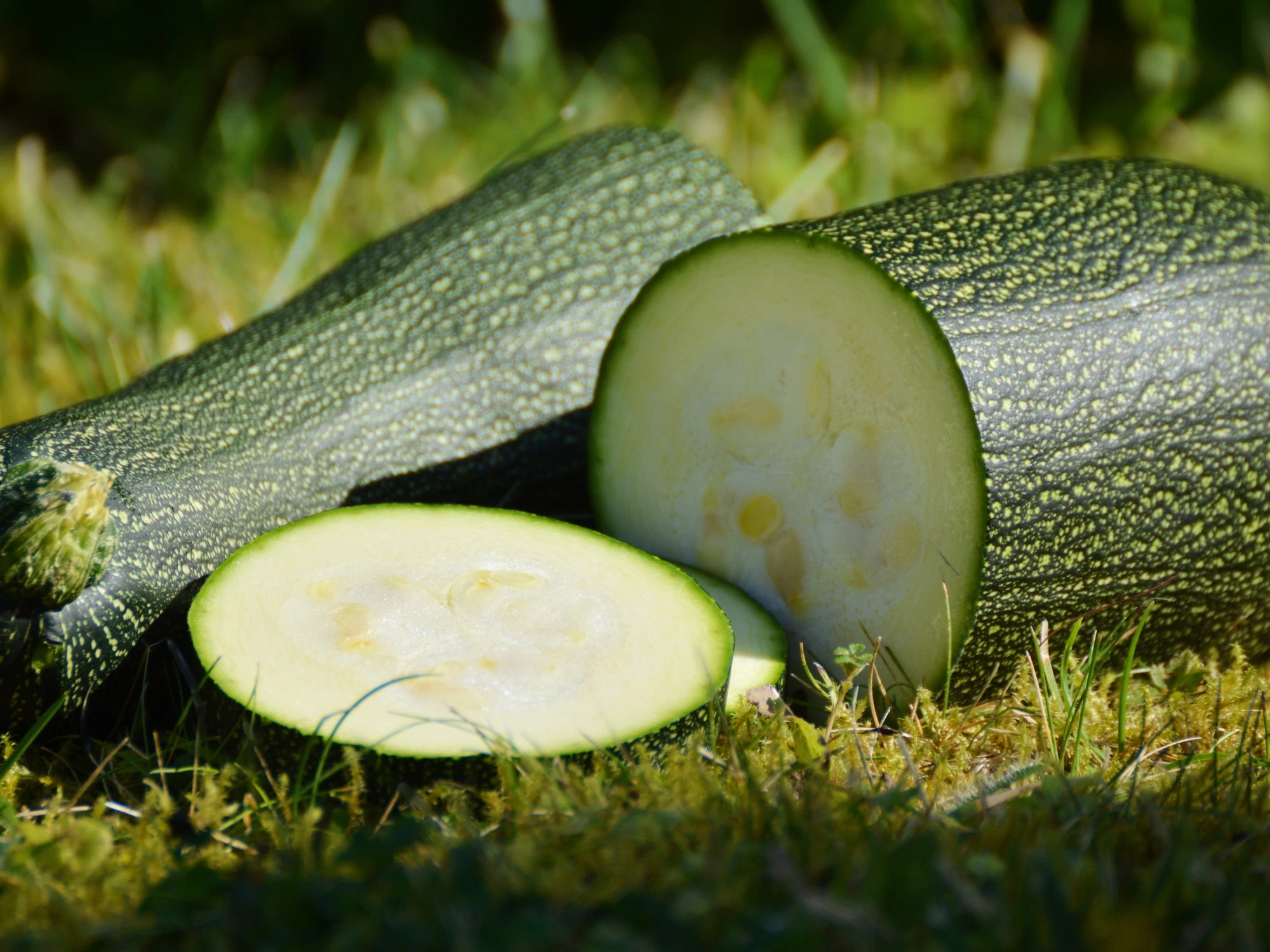 Zucchine perchè fanno all'intestino e al cuore e la buccia ?     