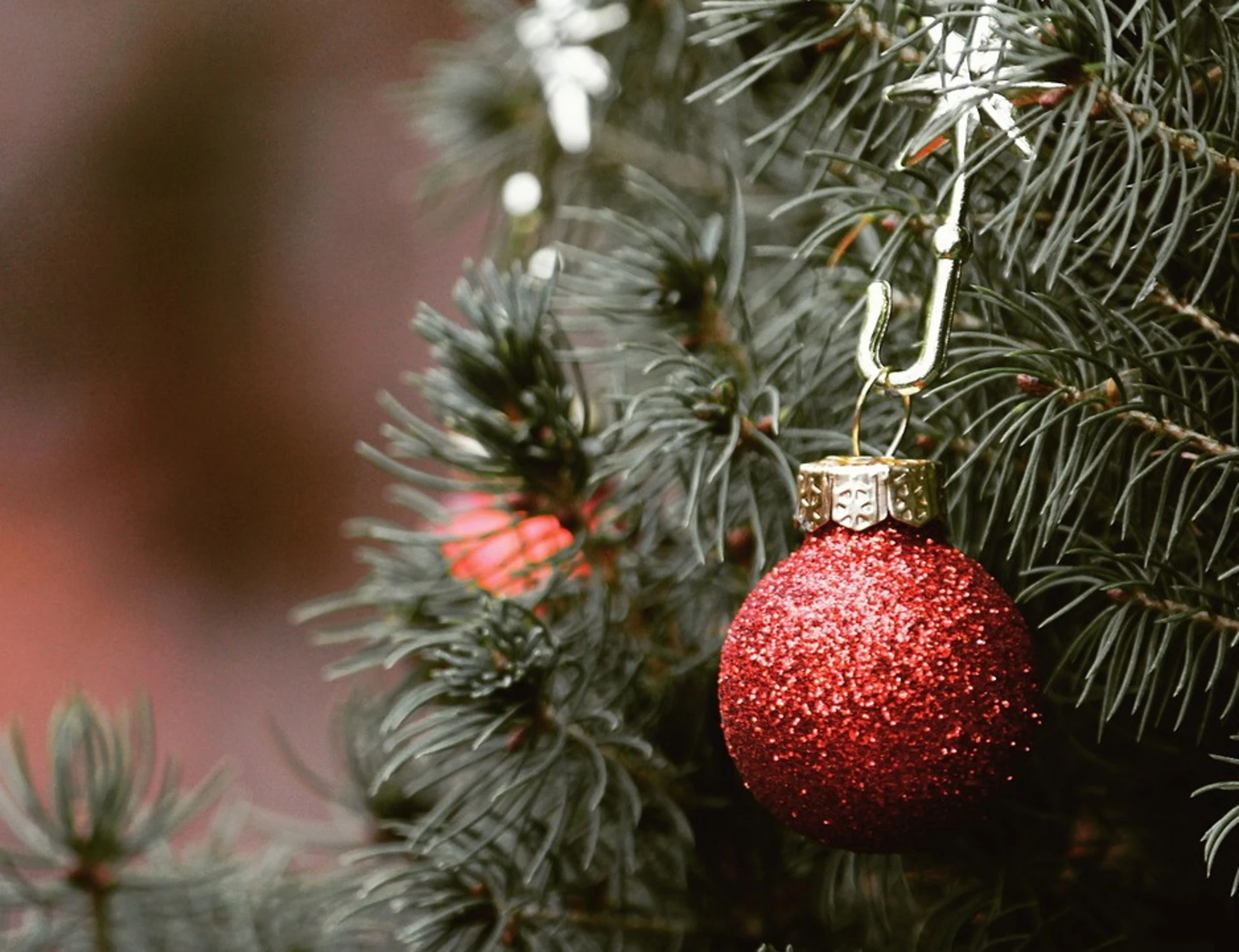 Su cosa risparmierete durente le feste di Natale?