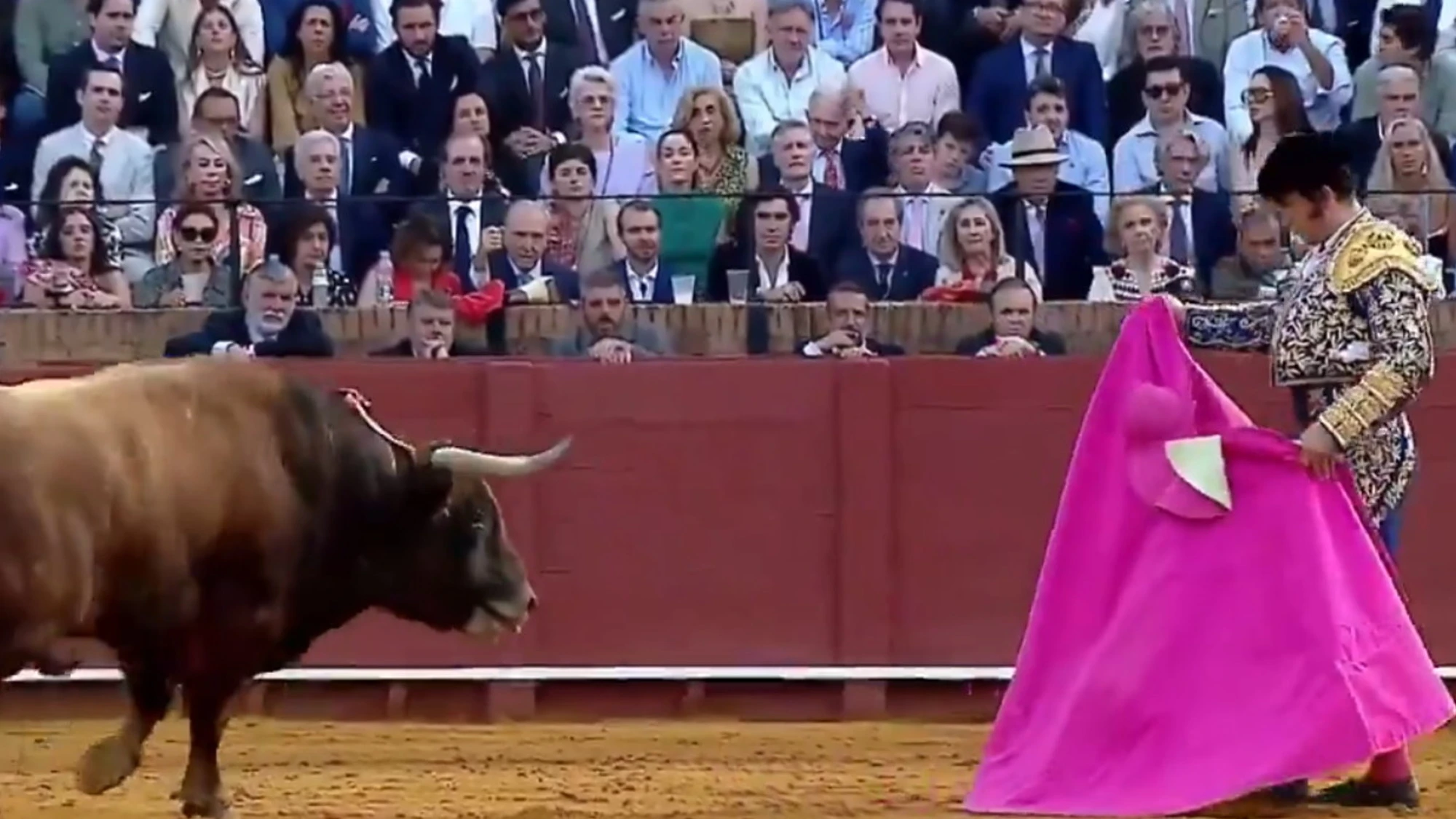 Voi andreste a vedere dal vivo una corrida?