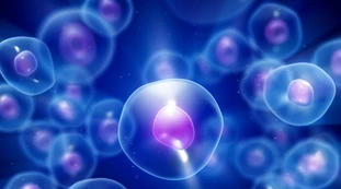 Coronavirus, lo studio dell'università di Washington cambia tutto: scoperti i due super anticorpi in grado di bloccare il suo ingresso nelle cellule