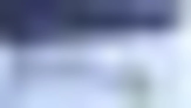 https://media.liberoquotidiano.it/R2uGFzmpzVgH3CLnXW3Jgn4eYEhUzKKX0ege5IcE2S8/width:800/quality:90/aW1hZ2VzLzIwMjYvMDkvMjMvMTAyNzIyNDE5LTI4YmU3YWNjLWQ0ODYtNDY4Yy1hY2EwLTNkZjA5N2M3ZDdhNi5qcGc.webp