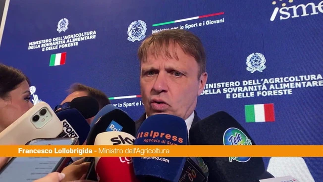 Lollobrigida "Sui dazi trattativa aperta, ci sono dei risultati"