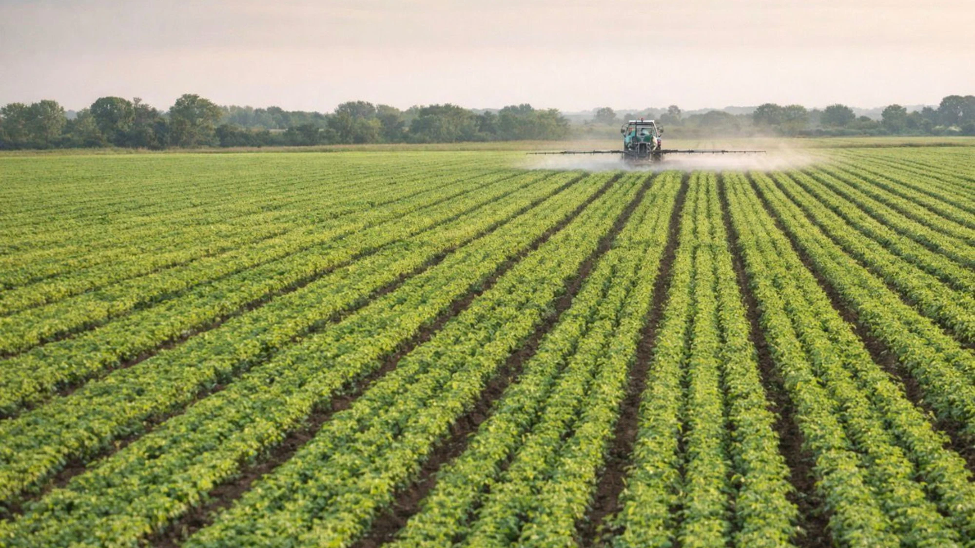 Istituto Friedman: no a nuove sanzioni UE sui fertilizzanti, sono distruttive