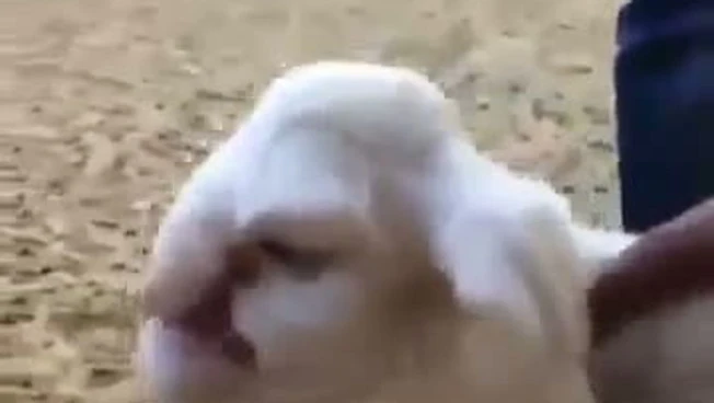 360x360