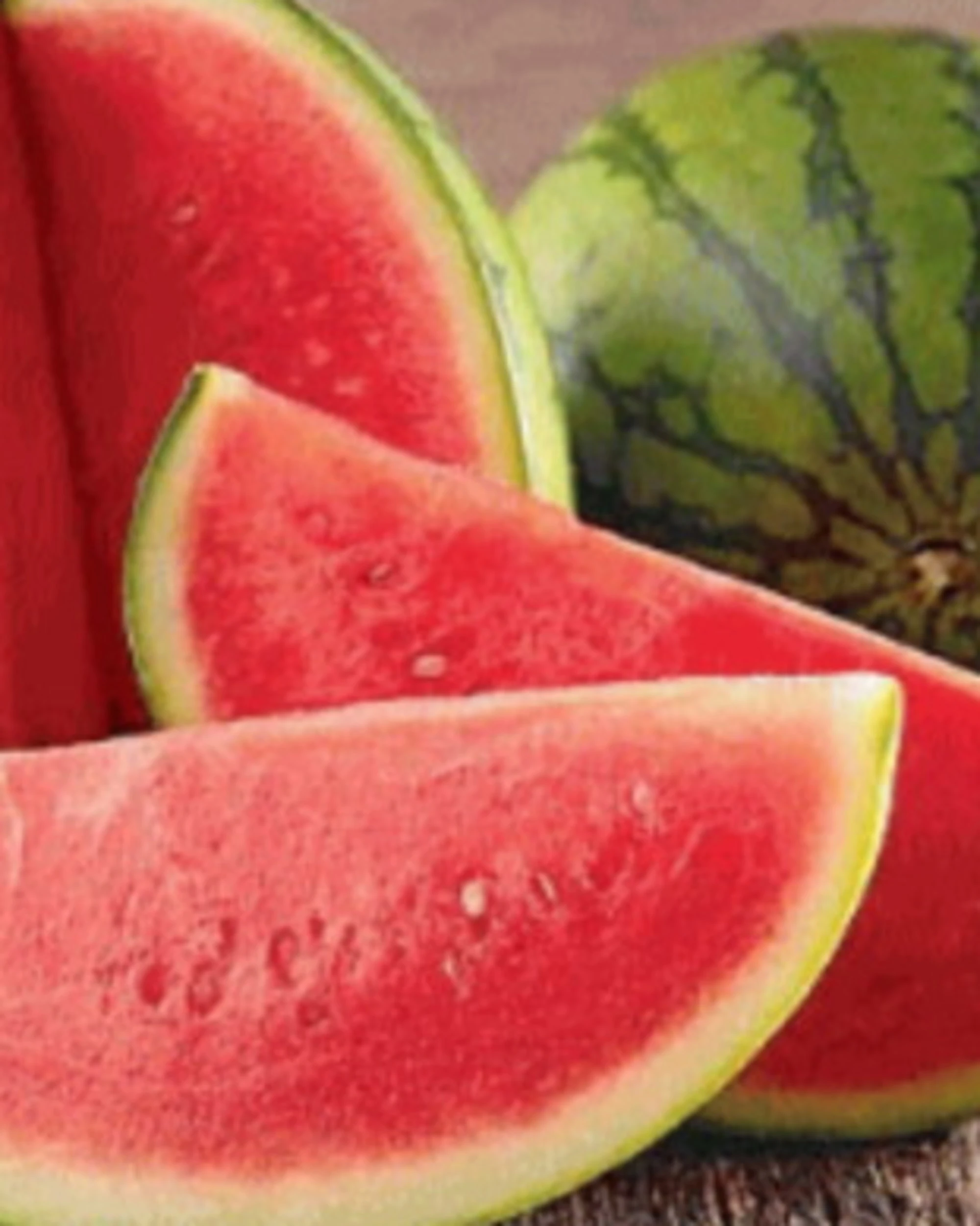 Cocomero, come sono le nuove angurie: prezzi, gusto e semi