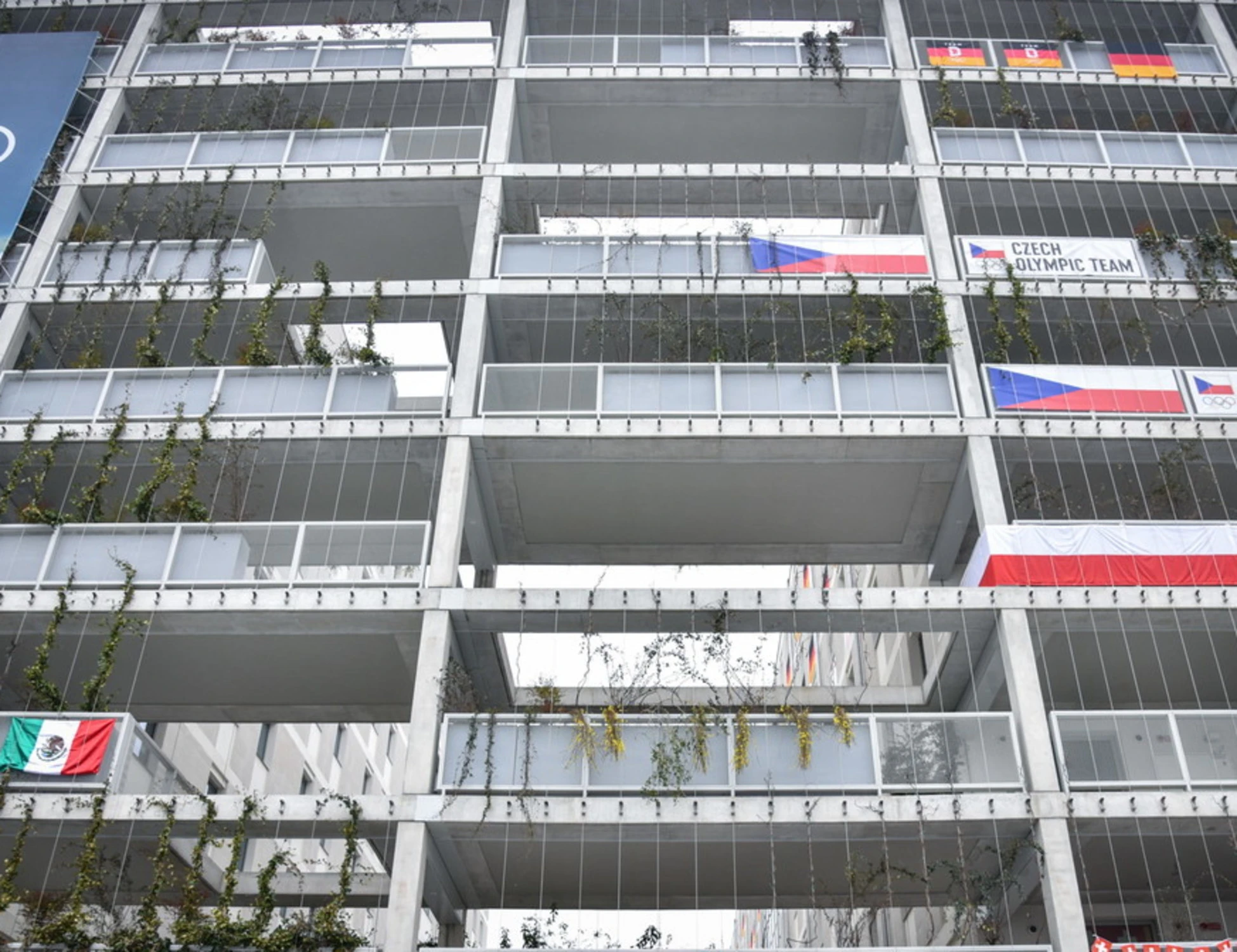 Milano-Cortina, epidemia di norovirus: chi sono i primi contagiati