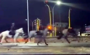 Cavalli impazziti a Roma, cosa emerge dai video: di chi è la colpa