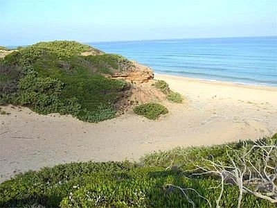 Ambiente, allarme per le coste italiane. Campagna Wwf per salvare i litorali