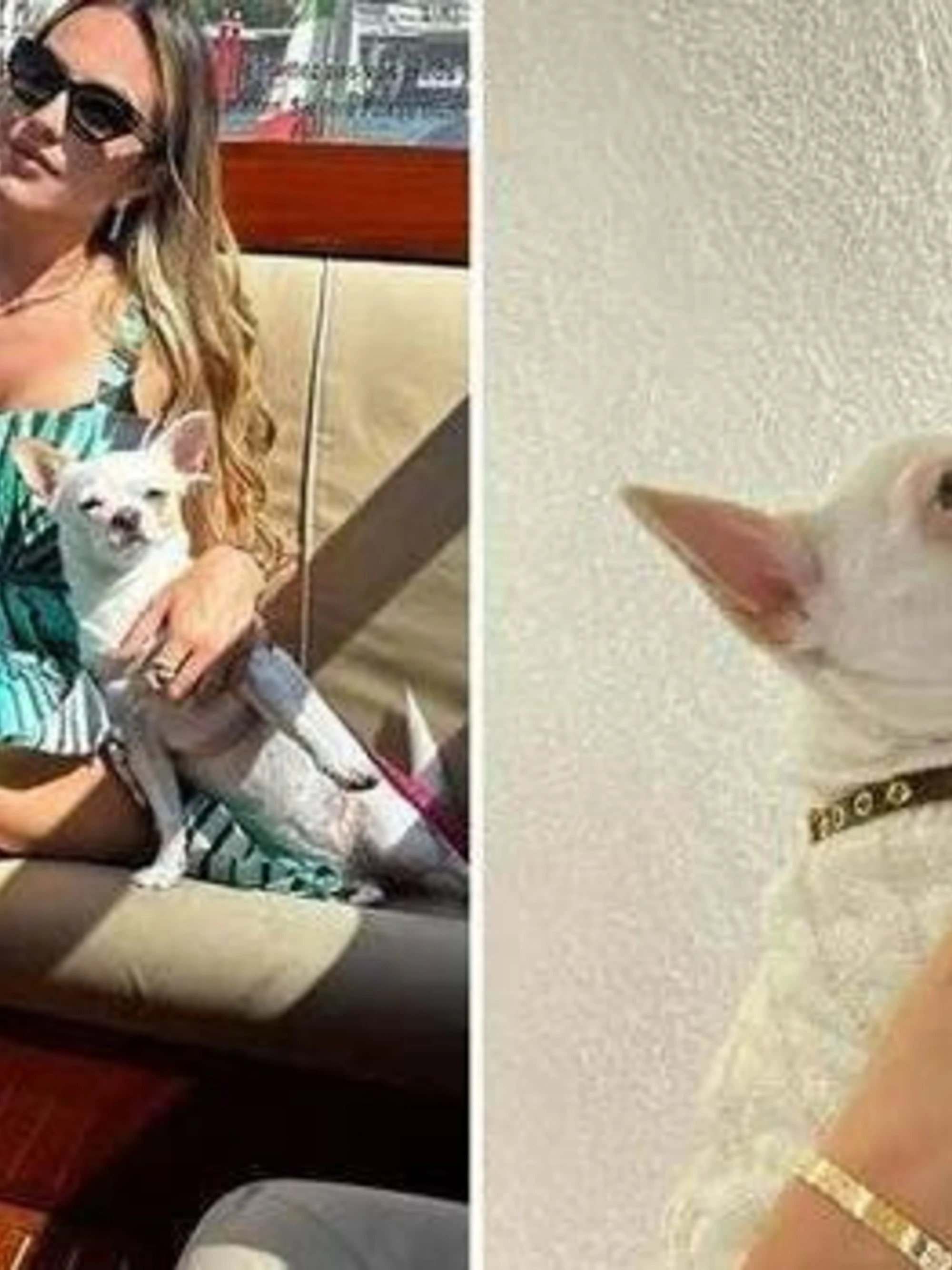 Pamela Genini, la bestialità di Gianluca Soncin: ha continuato ad accoltellarla davanti ai poliziotti