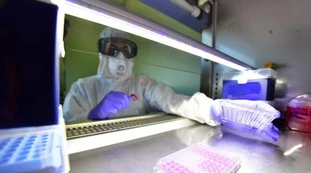 Coronavirus, "nessuno è immune": in Belgio muore una bambina di tre anni, il caso che sconvolge l'Europa