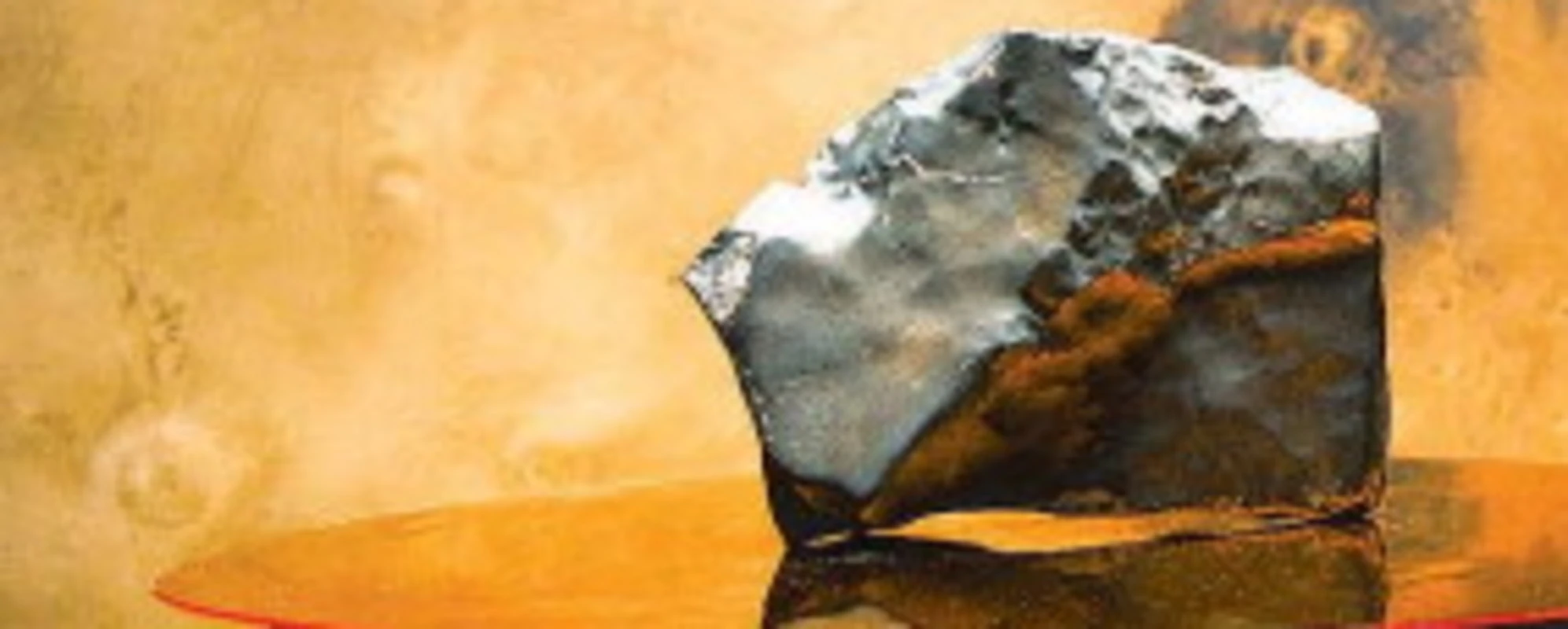 Il sasso caduto da Marte apre la via all'infinito