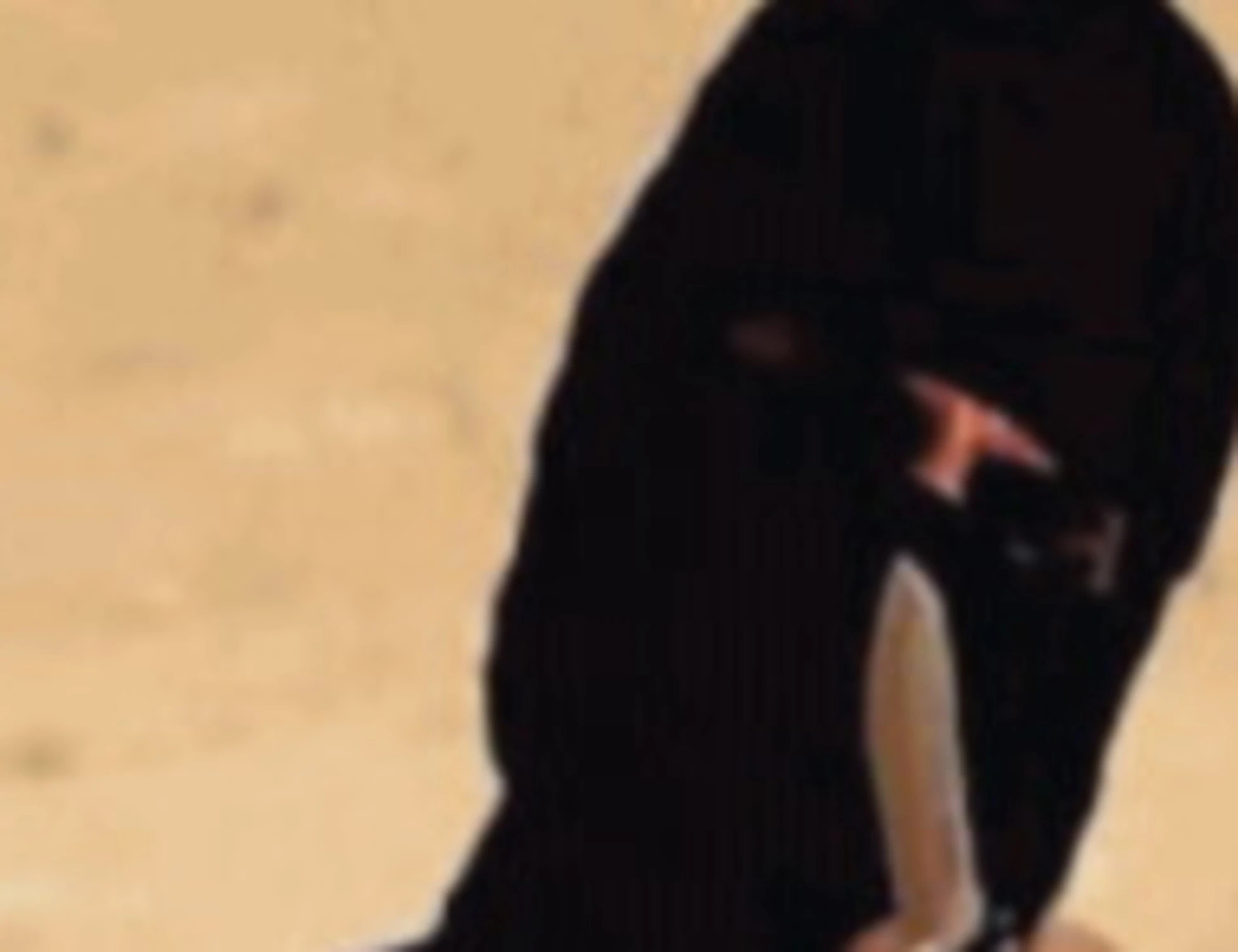 Videogiochi, social e chat: la jihad a portata di 14enne
