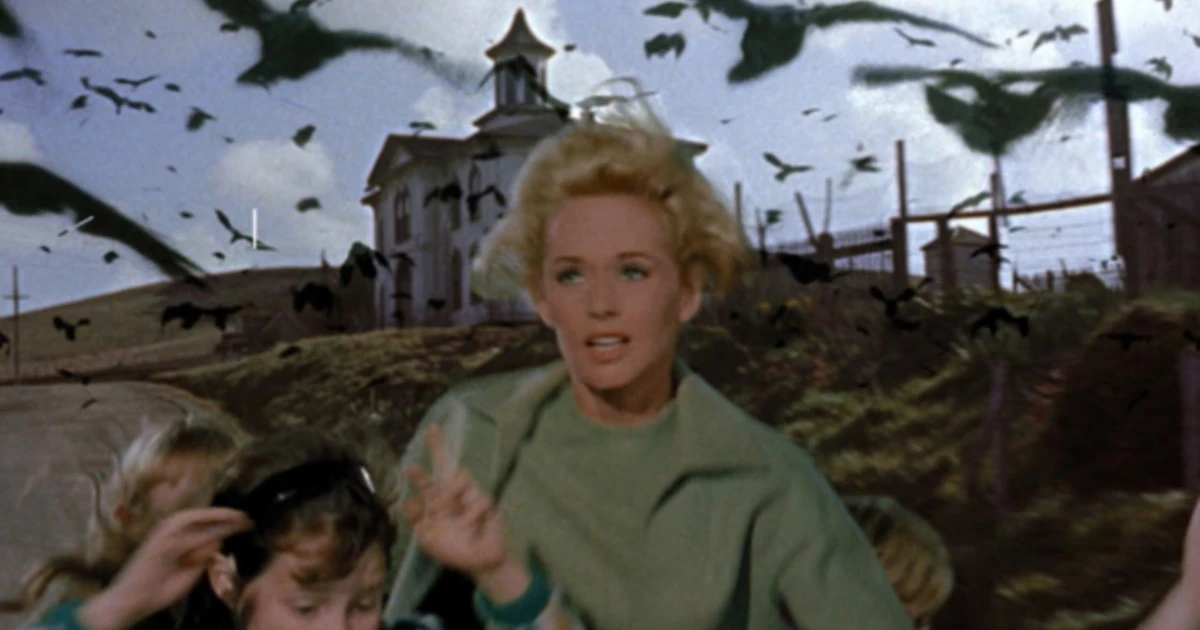 Gli uccelli, l'ultimo grande film del maestro Hitchcock