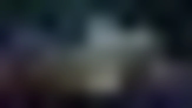 New York, aereo contro un mezzo dei Vigili del Fuoco: due morti