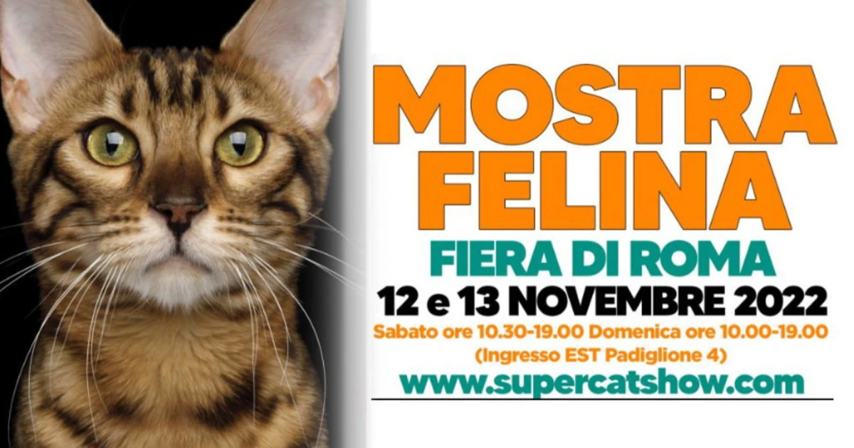 SuperCat Show 2022, a Roma la fiera dei gatti: ecco tutti gli appuntamenti