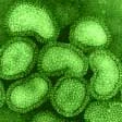 Influenza A, parto d'urgenza